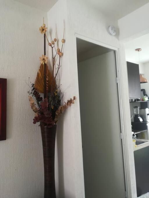 Privadas Turquesa, Nombre Del Alojamiento "Casa Niza Cancun" מראה חיצוני תמונה
